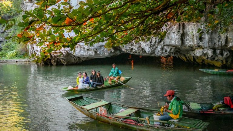 Phong Nha Jungle Trek and Cave Discovery