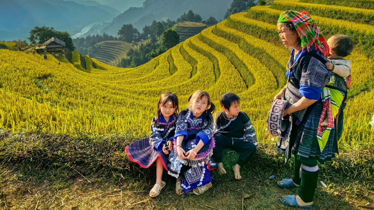 A local guide and travelers pose on a path overlooking golden terraced rice fields in Vietnam's mountainous region.