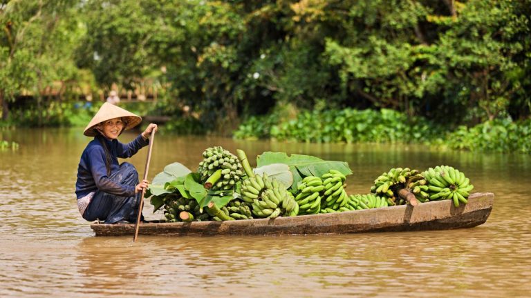 Local vendor poling a wooden boat loaded with bunches of green bananas on a waterway.