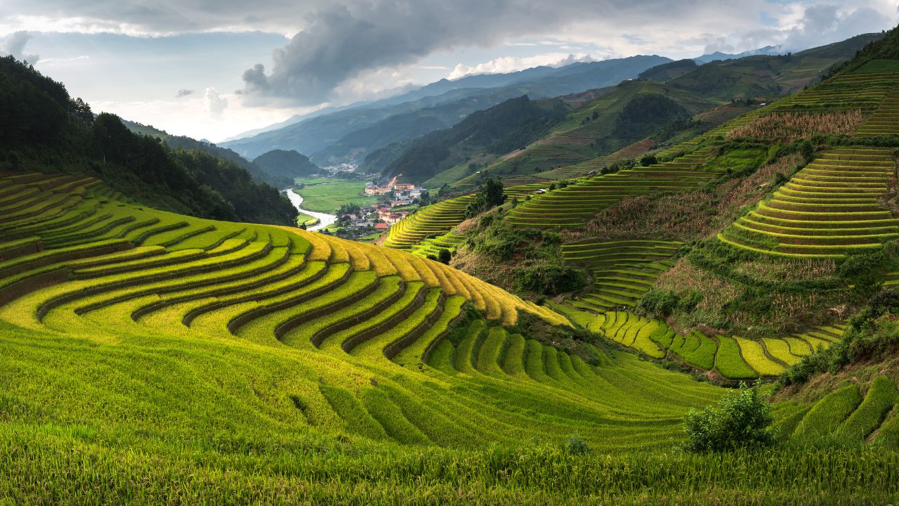 Lush green terraced rice fields cascade down mountainous terrain above a river valley village.