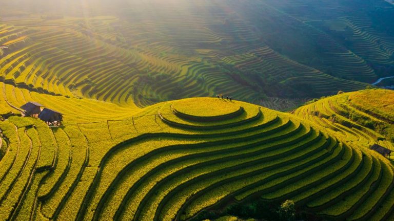 Mu Cang Chai to Sapa: Tea Hills and Rice Terraces