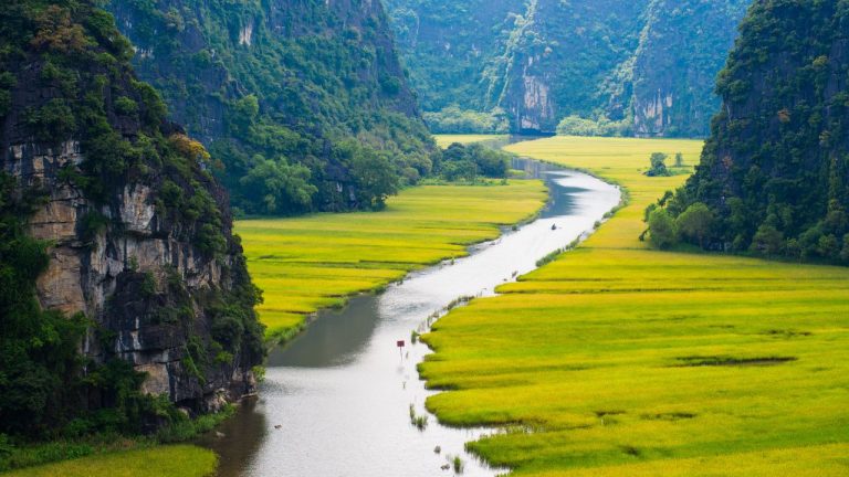 Winding river through lush green rice paddies and towering limestone cliffs in a scenic valley.