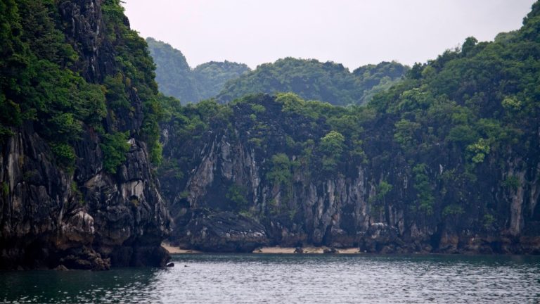 Bai Tu Long Bay Overnight Cruise