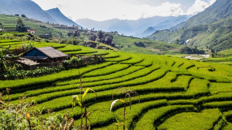 Sapa in Depth: Village Trekking Trail