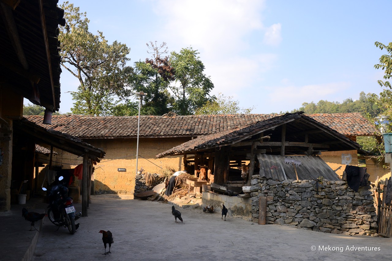 Village courtyard with chickens and wooden houses in Then Pa
