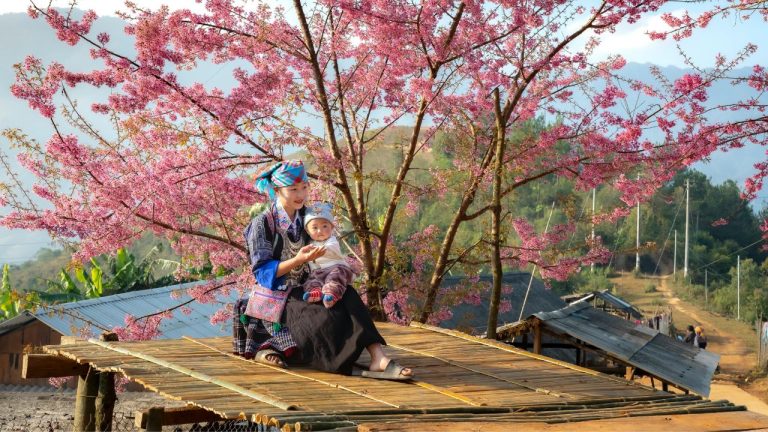 Sapa and Bac Ha Hill Tribe Trek